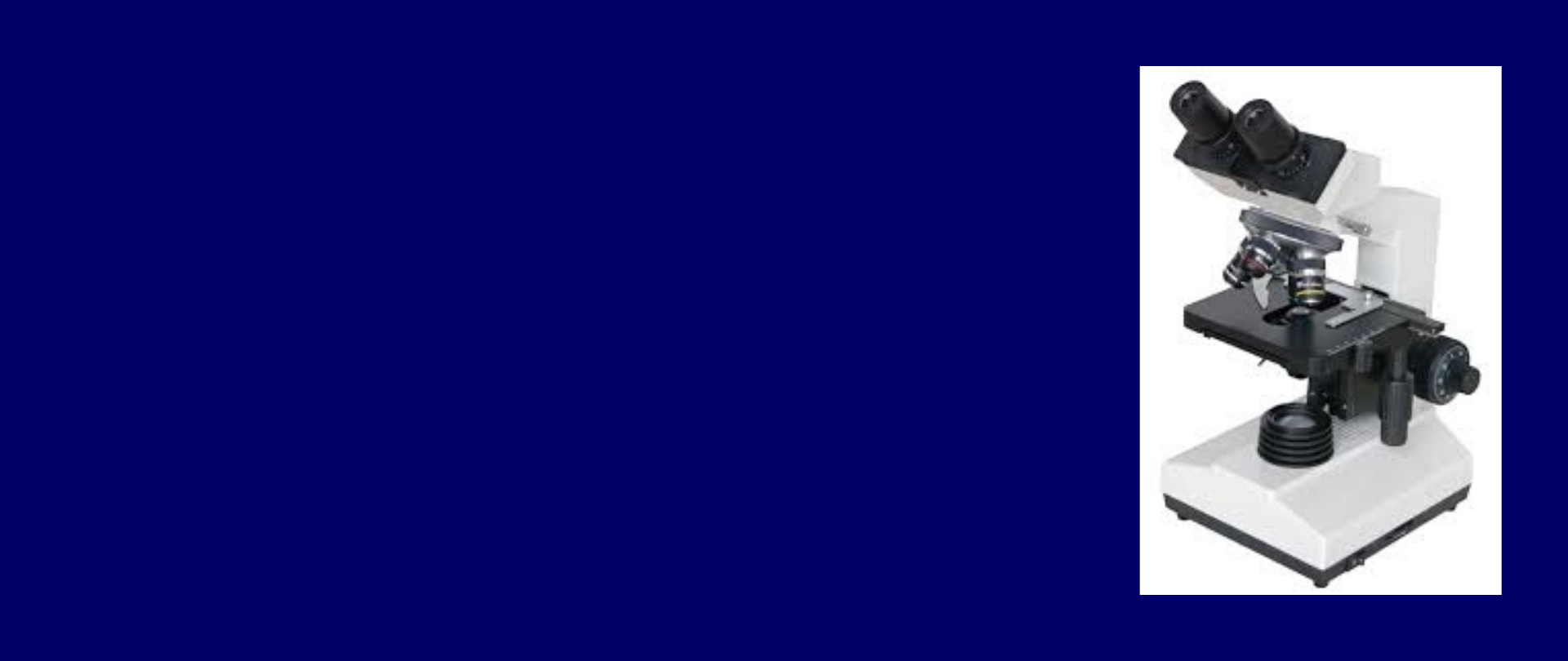 Vigo Slider Image