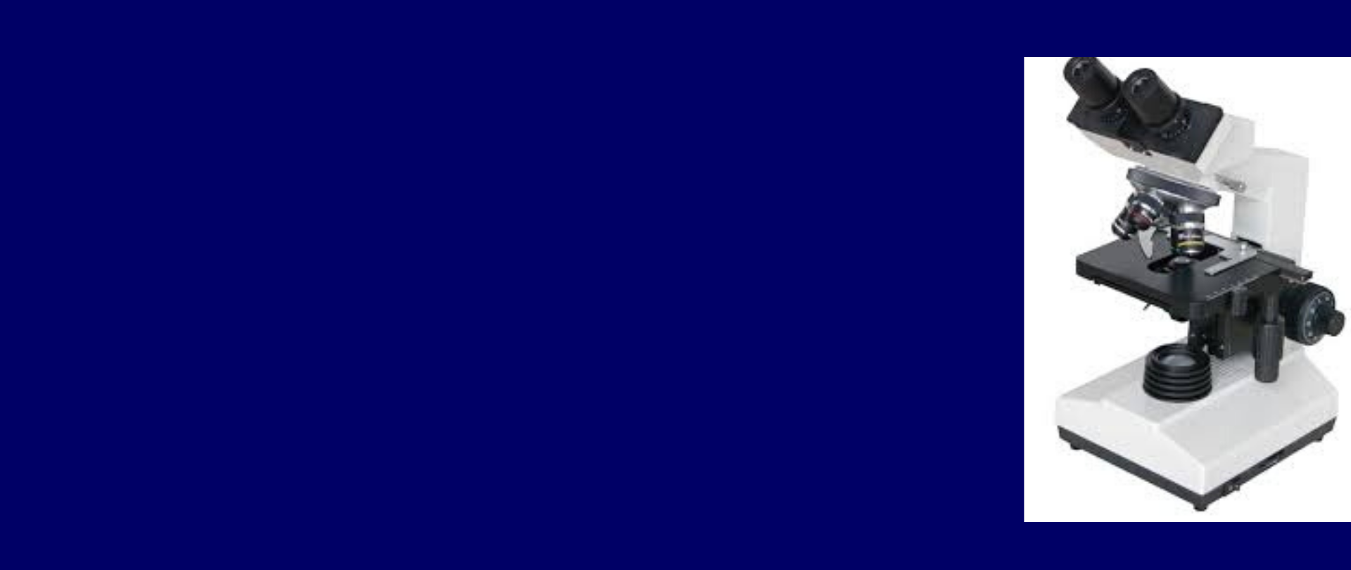 Vigo Slider Image