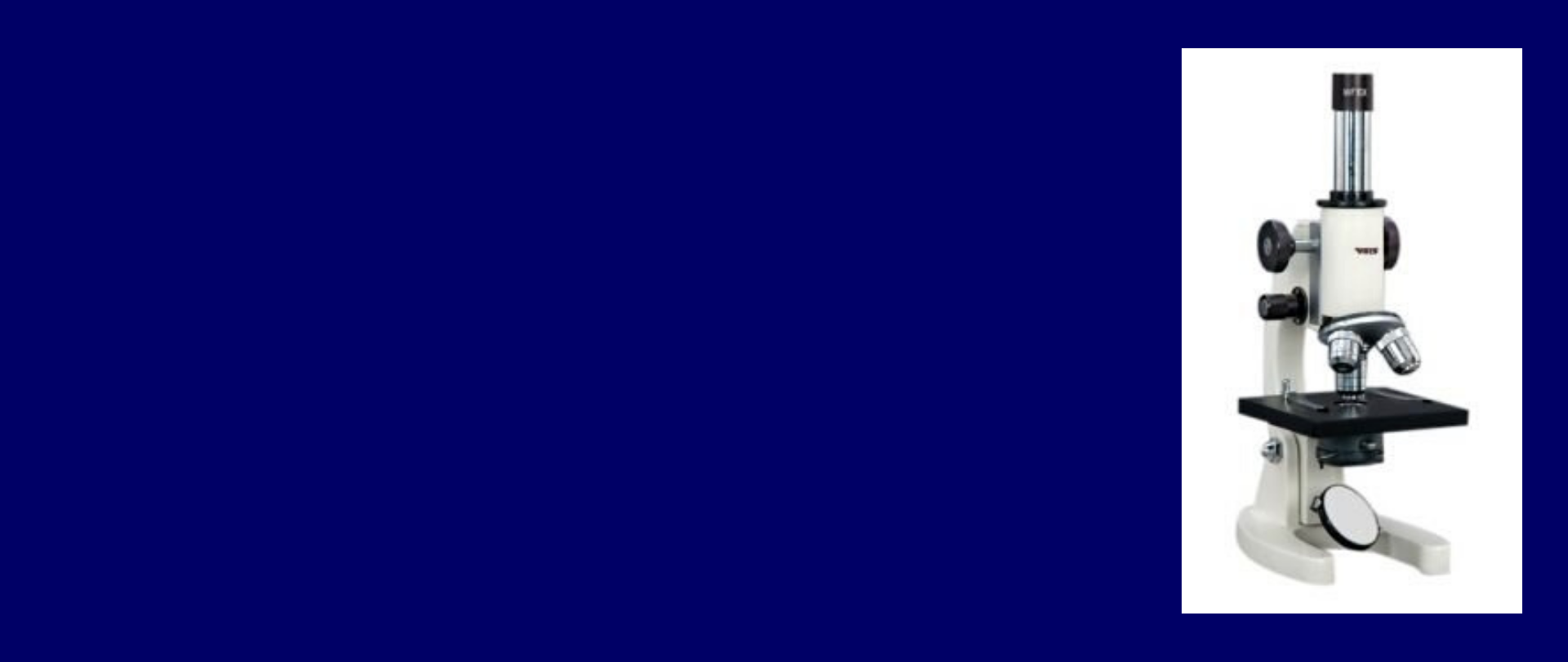 Vigo Slider Image